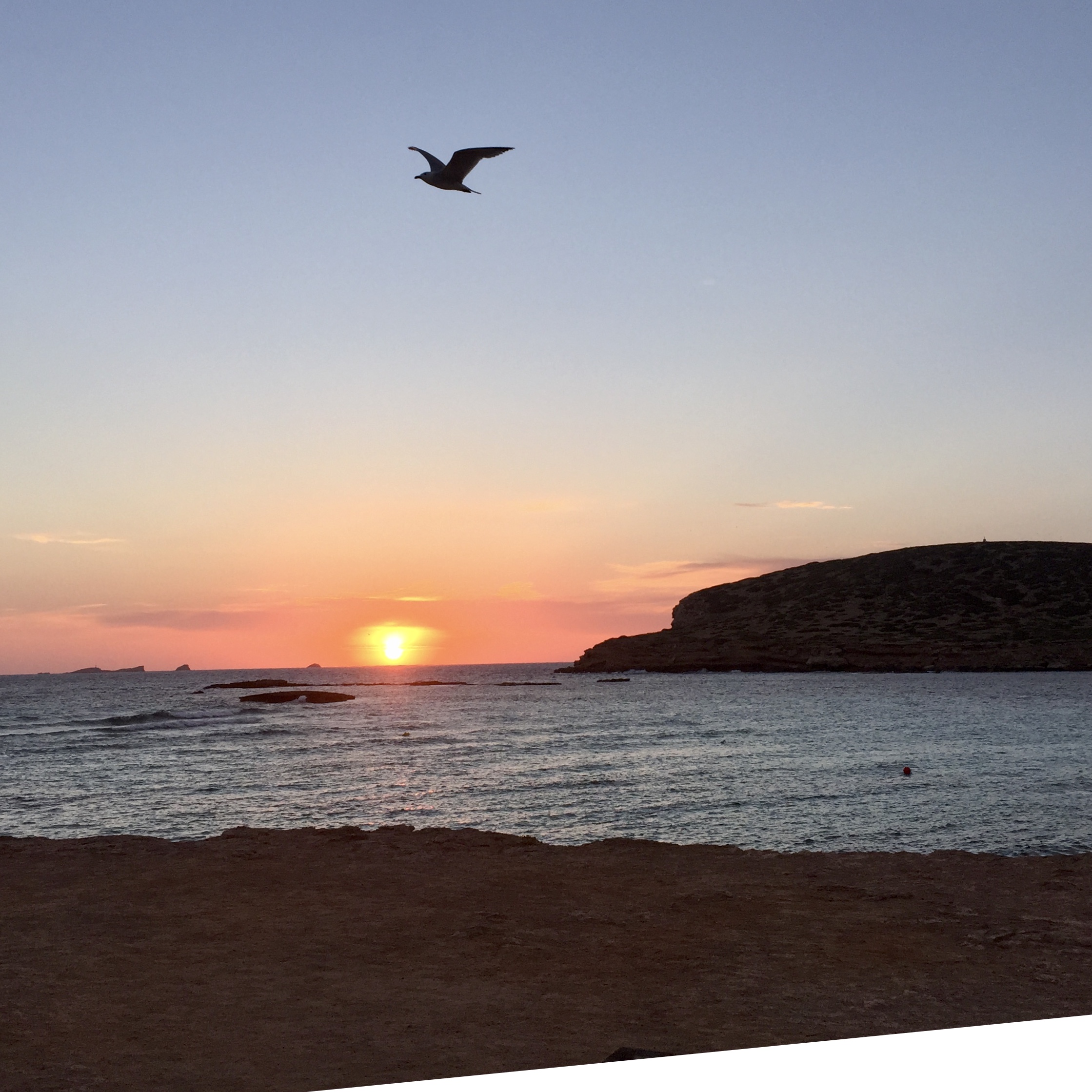 0EAC3014-B434-4BD8-A82D-4D53147B6FCB