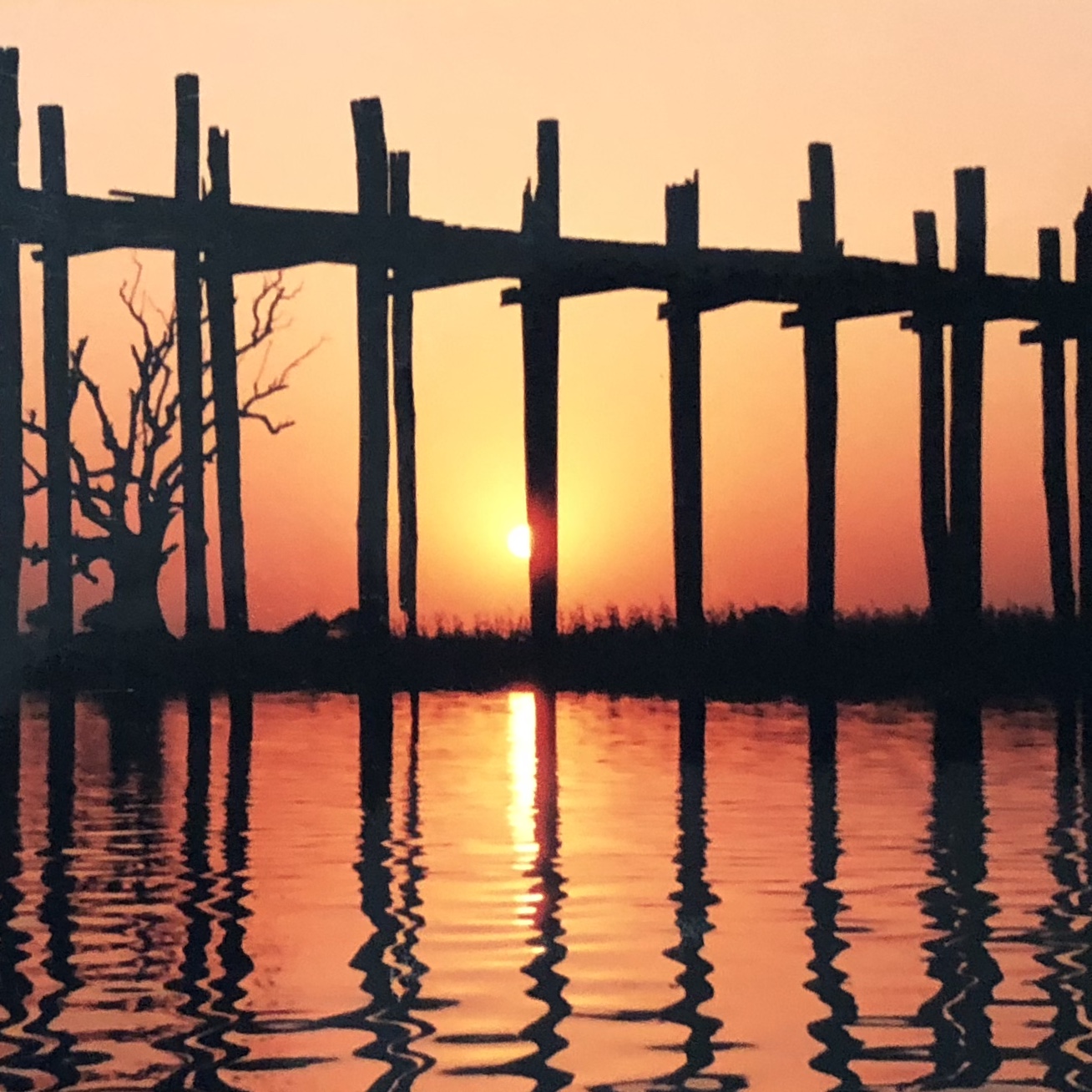 5485922C-C761-4D77-9CA7-4297AD082B90