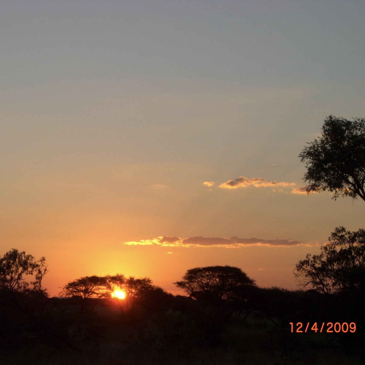 95B73A91-F0A6-4938-8761-A64E77490699