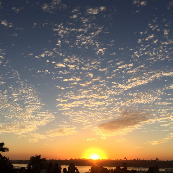 C1798EC3-2924-44A4-B1C7-73B9123D782C