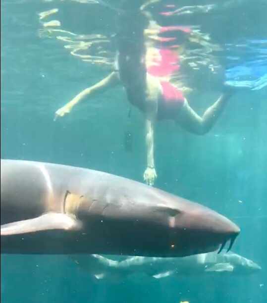 1F3C9514-14D0-45A3-AE32-139399AEB509